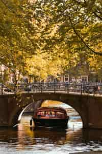 A canal boat passing under a bridge in Amsterdam, surrounded by autumn trees and bicycles, reflecting the city's charm and iconic scenery.