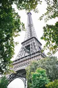 Vue de la Tour Eiffel encadrée par des fleurs de magnolia en pleine floraison sous un ciel bleu clair, mettant en valeur Paris au printemps.